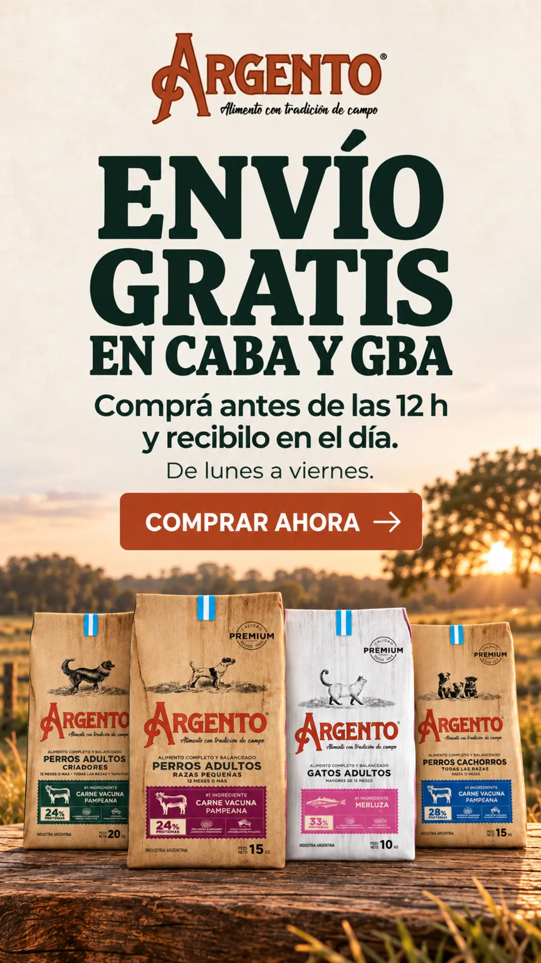 banner envio gratis mobile